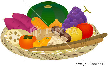 ザル盛り合わせ 秋の野菜とフルーツ のイラスト素材