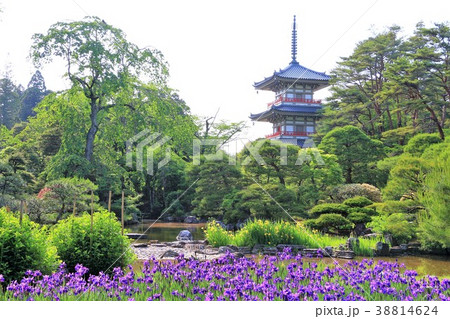 新緑の日本庭園 38814624