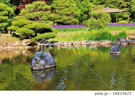 新緑の日本庭園 38814625
