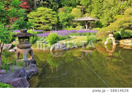 新緑の日本庭園 38814626