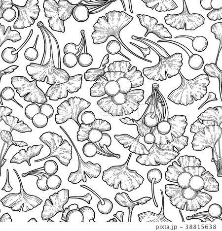 Graphic ginkgo biloba branches 38815638