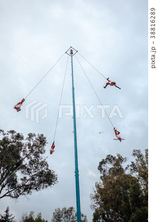 Voladores, the Bungee jumpers in Mexico Voladores, the Bungee jumpers in Mexico 38816289