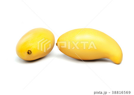 two mango isolated on white background 38816569