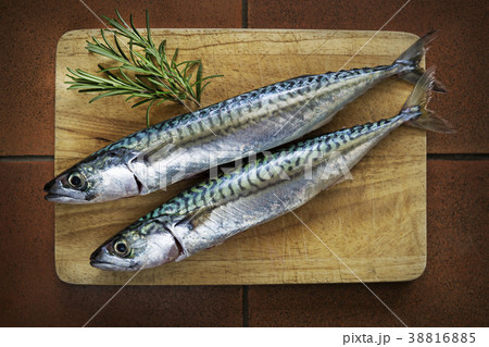 Fish mackerel 38816885