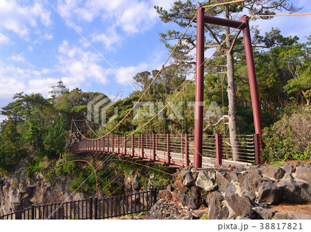 城ヶ崎海岸吊り橋-18738 38817821