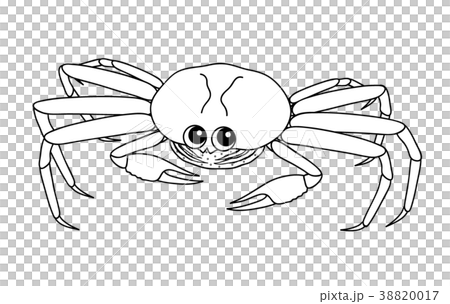 セイコガニ　ぬりえ 38820017