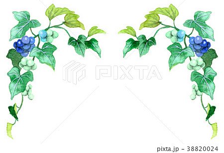 野葡萄の上部フレーム素材 38820024