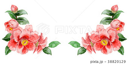 水彩で描いたピンクの山茶花の下部フレーム素材のイラスト素材
