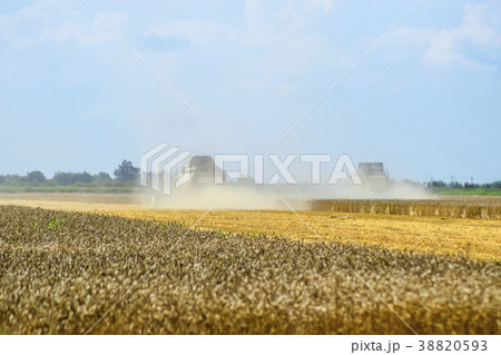 Combine harvesters. Agricultural machinery. 38820593