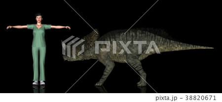 恐竜縮尺図・ブラキケラトプス 38820671