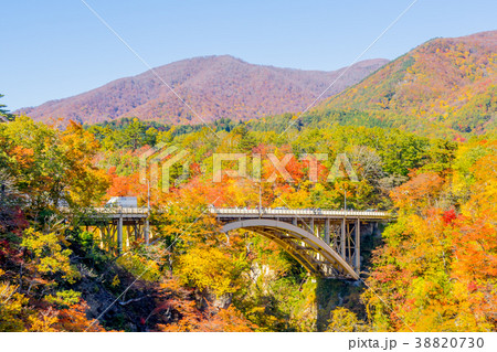 【宮城県】鳴子峡の紅葉 38820730