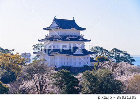 《神奈川県》小田原城・桜の季節 38821285