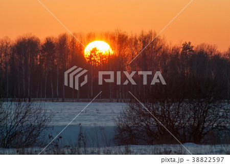 A large disk of the sun behind the trees, 38822597