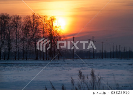 Big disc of the sun behind the trees. 38822916