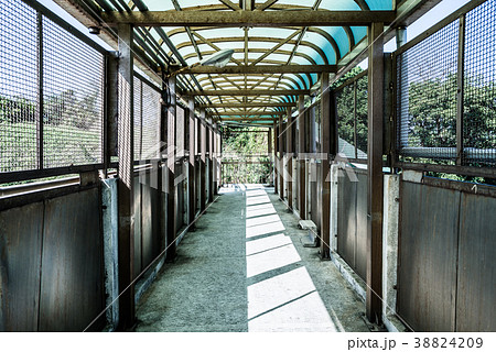 景色 風景 台湾 38824209