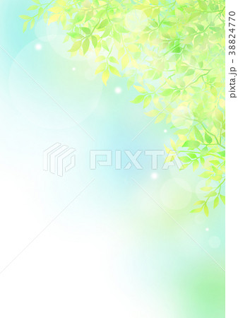 新緑 新緑 38824770