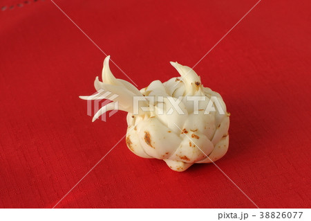 ユリ根の新芽,野菜の芽 38826077