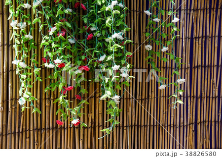 Cascading wall of pink spring desert flowers 38826580
