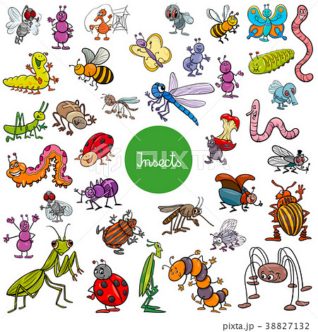 cartoon insects animal characters big set 38827132