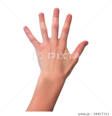 Realistic 3D Silhouette of an open hand on White 38827151