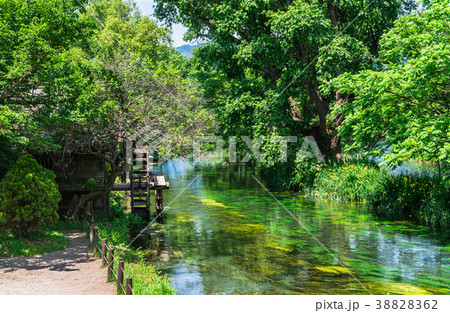 水車が回る川辺の風景 安曇野の写真素材 3862