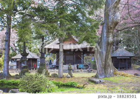 八葉寺本堂と庭園 八葉寺本堂と庭園 38828501