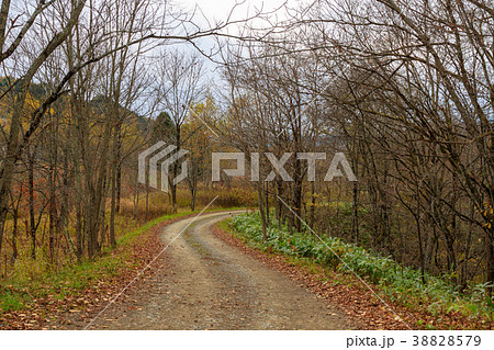 林道　占冠 38828579