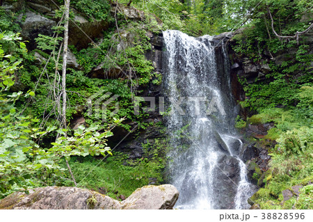 深緑の滝 38828596