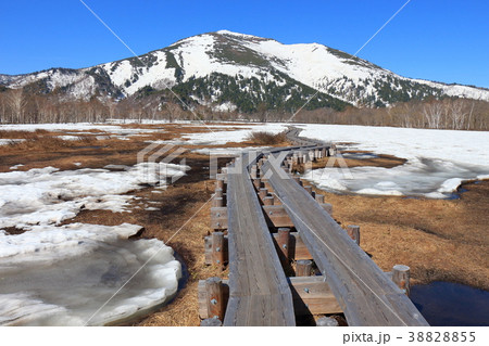 早春の尾瀬 上田代付近の雪融けの池塘と至仏山 38828855