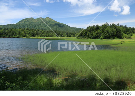 尾瀬沼の想い出 燧ヶ岳遠景 尾瀬沼の想い出 燧ヶ岳遠景 38828920