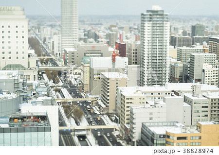 さっぽろテレビ塔からの眺め(ジオラマ風) さっぽろテレビ塔からの眺め(ジオラマ風) 38828974