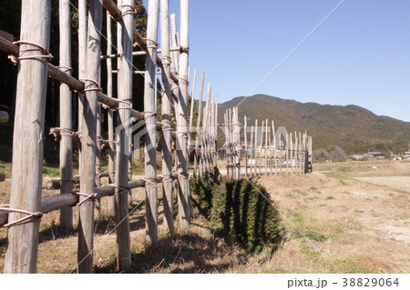 長篠 馬防柵 長篠 馬防柵 38829064