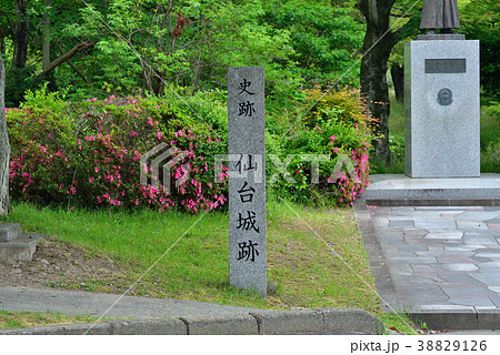 仙台城跡 38829126