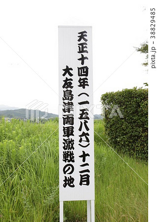 戸次川古戦場跡 38829485