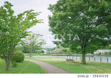 ベンチのある風景　門池公園 38830258