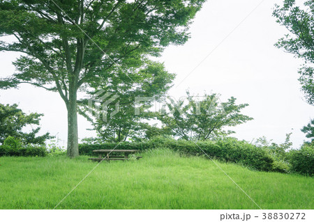 ベンチのある風景 御殿山芝生広場 ベンチのある風景 御殿山芝生広場 38830272