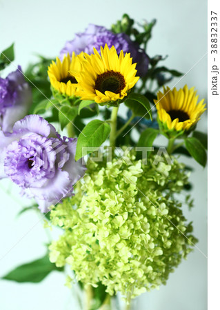 夏の花々 38832337