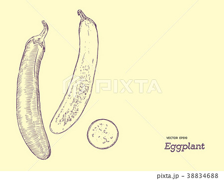 Hand drawn whole eggplant with slices composition. 38834688