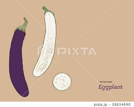 Hand drawn whole eggplant with slices composition. 38834690