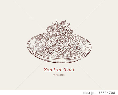 som-tum , thai food. hand drawn sketch vector. som-tum , thai food. hand drawn sketch vector. 38834708