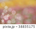 Beautiful colorful flower and bokeh background.  38835175