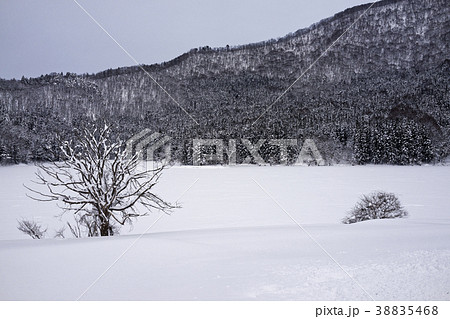雪の北竜湖 38835468