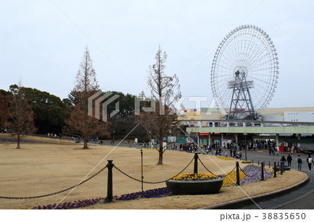 万博記念公園から観たエキスポシティの観覧車のある風景です 38835650