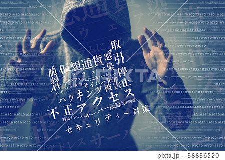 男 男 38836520