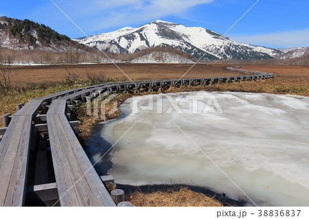 早春の尾瀬 中田代付近の雪融けの池塘と至仏山 38836837
