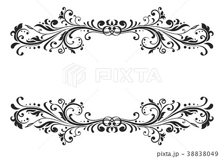 Floral decorative ornaments. Divider elements 38838049