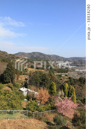 神奈川県松田山　風景 38838280