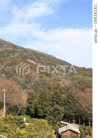 神奈川県松田山　風景 38838281