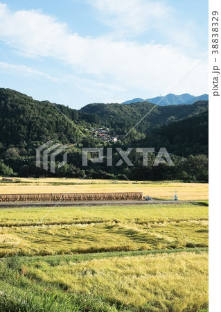 秋の農村風景 38838329