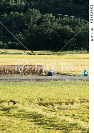 秋の農村風景 秋の農村風景 38838333